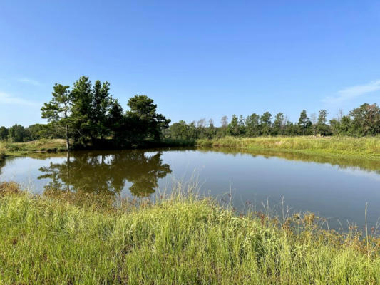 LOT 3 SULLIVAN DRIVE, APPLE SPRINGS, TX 75926 - Image 1