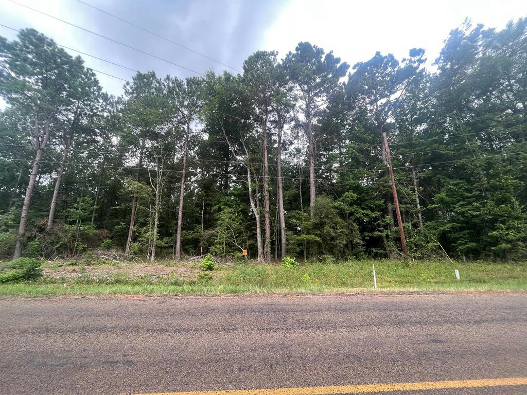 TRACT 57 FM 1751, SAN AUGUSTINE, TX 75972, photo 1 of 12