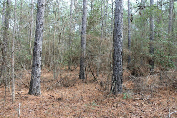 LOT 28 COUNTY ROAD 403, SAN AUGUSTINE, TX 75972, photo 5 of 6