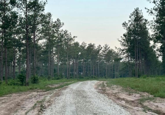 TRACT 4-A FM 357, APPLE SPRINGS, TX 75926, photo 4 of 12