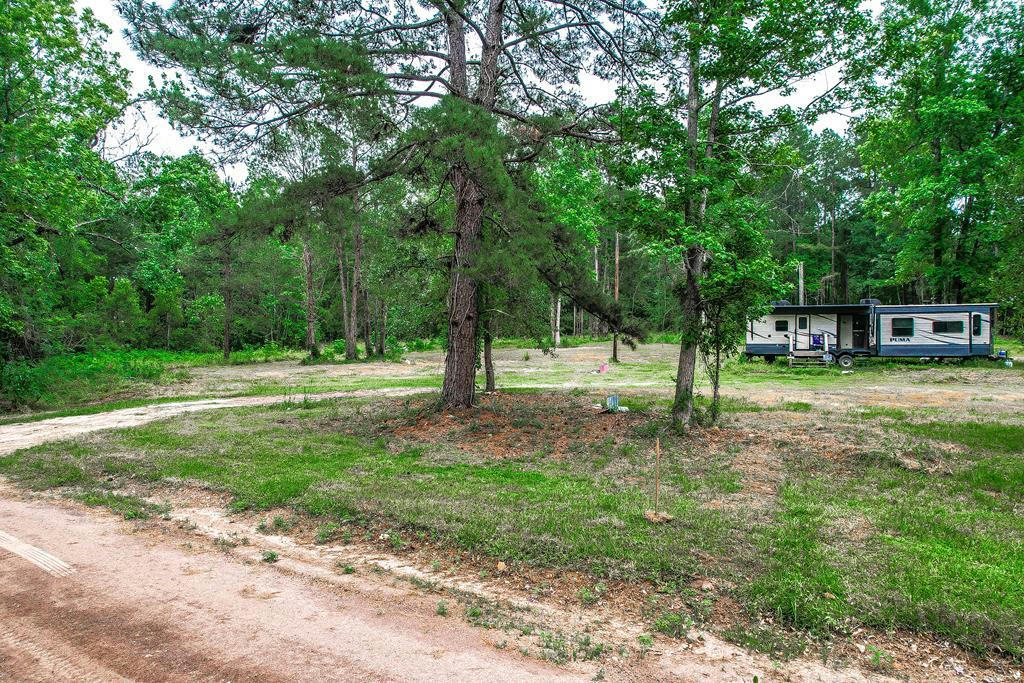 526 CAMPUS DR, ZAVALLA, TX 75980, photo 1 of 14