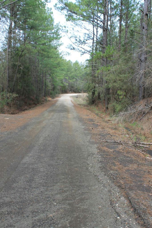 LOT 28 COUNTY ROAD 403, SAN AUGUSTINE, TX 75972, photo 1 of 6